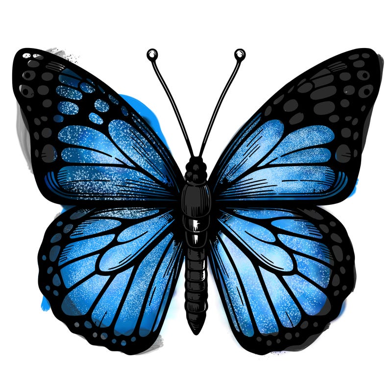 realistic butterfly