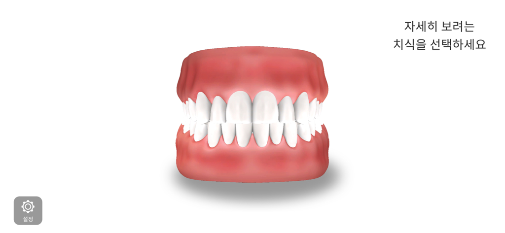 AR-D Morphology - 3D interactive model of human teeth and gums for dental morphology study