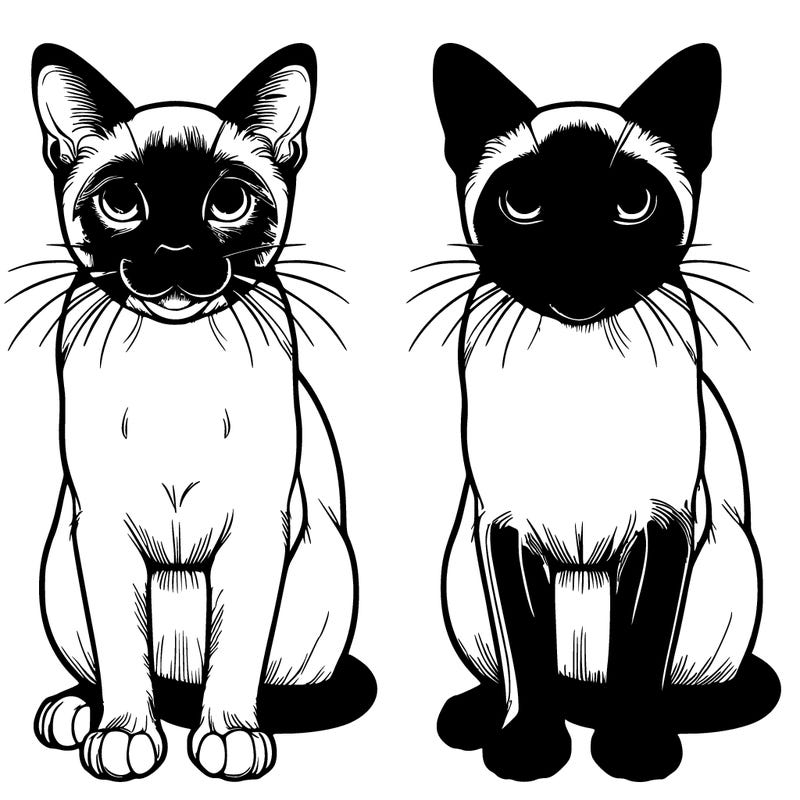 realistic siamese