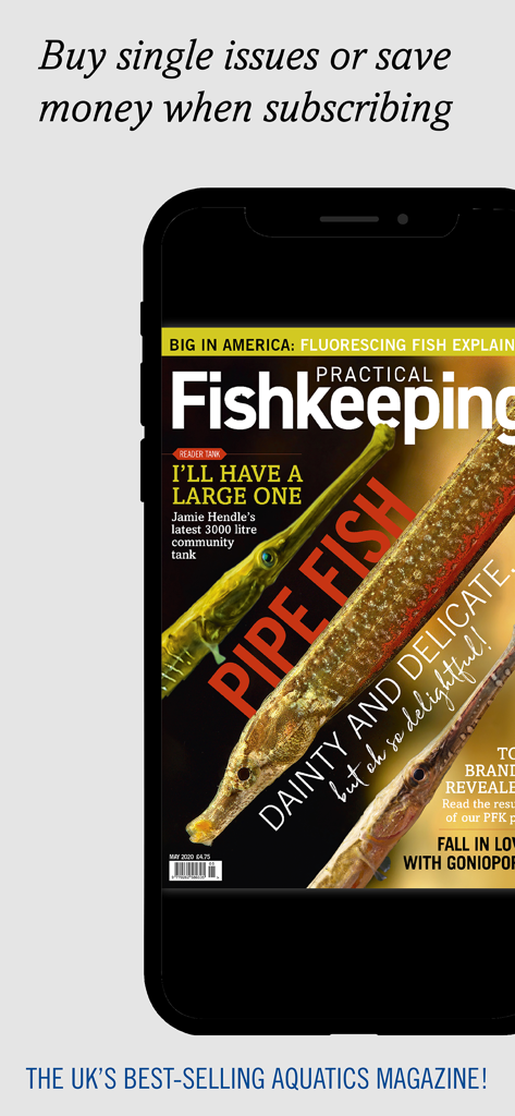Practical Fishkeeping - Digital cover of Practical Fishkeeping magazine featuring pipe fish on a smartphone screen