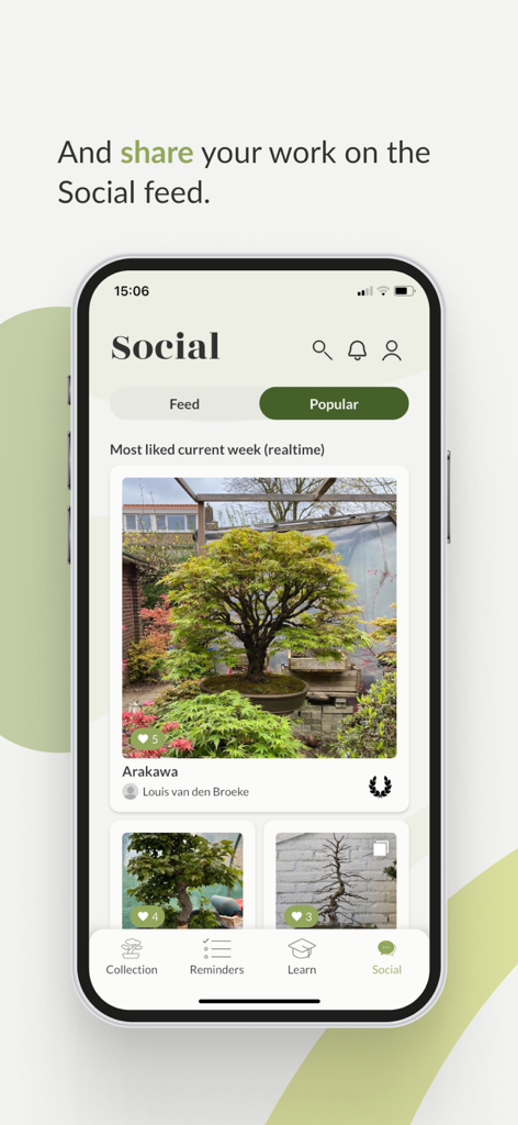 Bonsai Care App - A mobile screen showing the Social feed of the Bonsai Care App where users share photos of their bonsai trees
