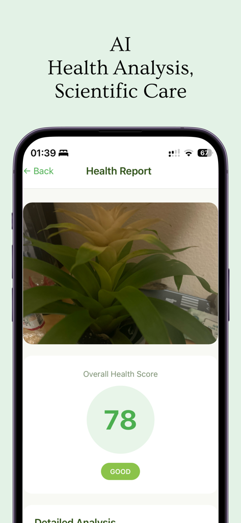Plant Friend - La pantalla del informe de salud de la aplicación Plant Friend que muestra una puntuación general de salud de 78 para una planta de interior.