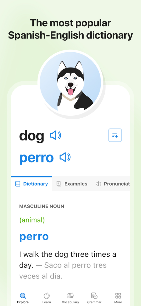 SpanishDictionary.com Learning - SpanishDictionary.com mobile app screen showing the English to Spanish translation of the word dog to perro with an example sentence