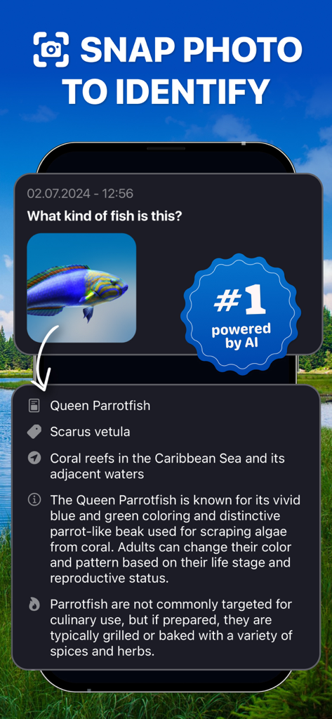 종 세부 정보와 함께 앵무새고기의 AI 식별을 보여주는 모바일 앱 인터페이스