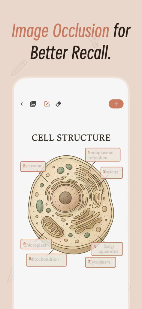 La interfaz de la aplicación Noolingo demuestra la función de oclusión de imágenes en un diagrama detallado de la estructura celular biológica para la recuperación de estudios.