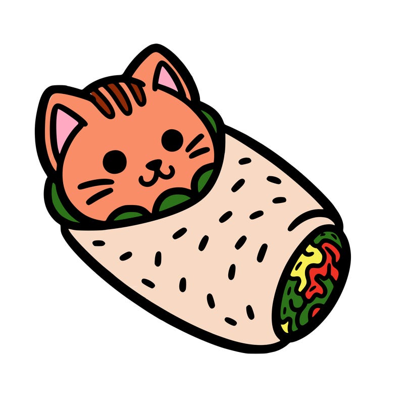 a cat in a burrito