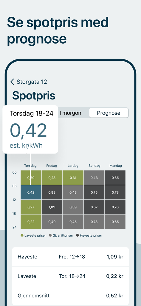 Real-time electricity spot price forecast grid in the VEV Strom app showing daily price fluctuations for energy optimization