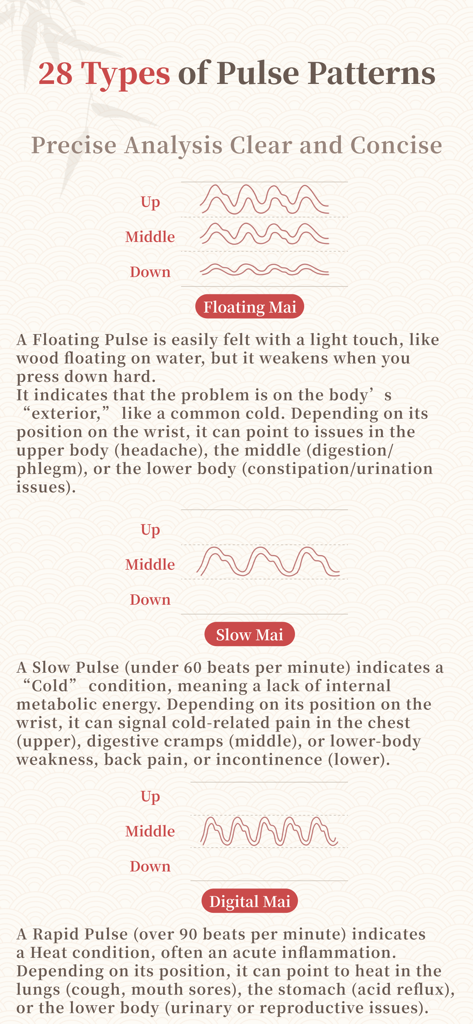 Un guide expliquant différents types de pouls comme Flottant et Pouls Lent (Mai) avec des descriptions d'analyse de santé.