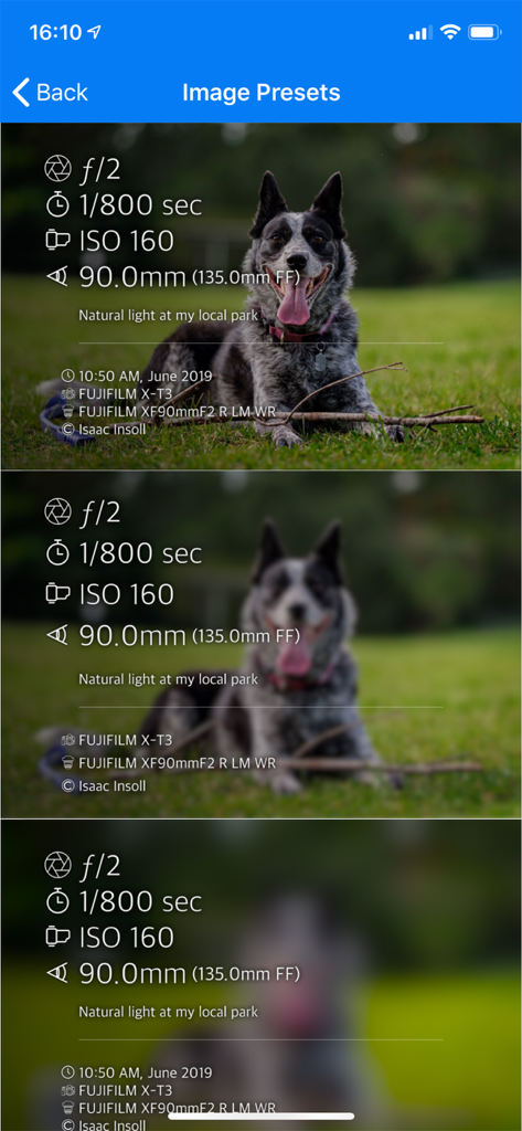 Photo Summary - Photo Summary app showing different design presets for displaying camera EXIF data over a dog photo