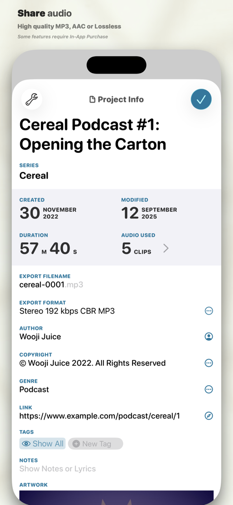 Ecrã de informações do projeto no Ferrite Recording Studio mostrando metadados de podcast e definições de exportação