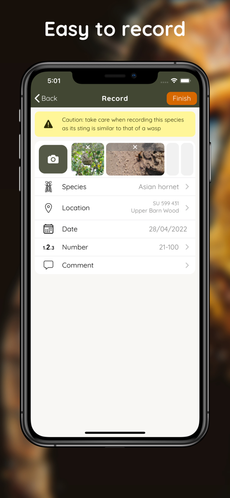 Asian Hornet Watch - Asian Hornet Watch app screen for recording a sighting with fields for species location date and number of insects