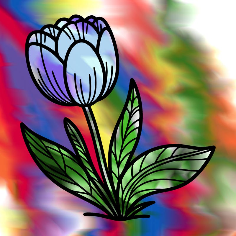 tulip