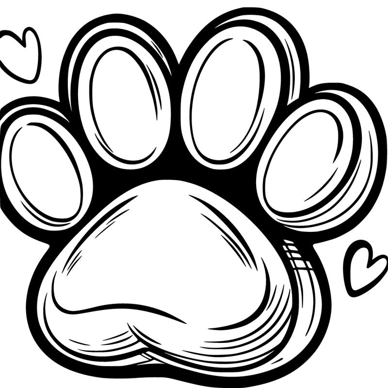 paw in the middle of human hand