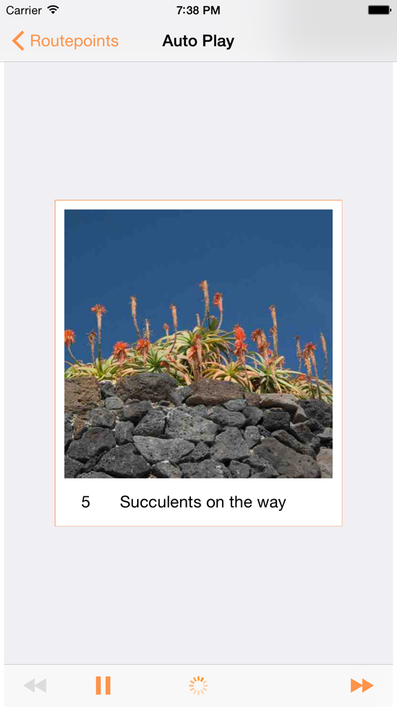 Mnemo Route App-Bildschirm, der einen Gedächtnisroutenpunkt mit einem Foto von Sukkulenten und Wiedergabesteuerelementen zeigt