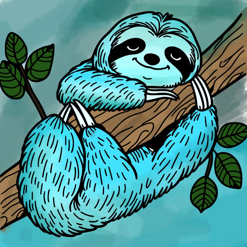 sloth