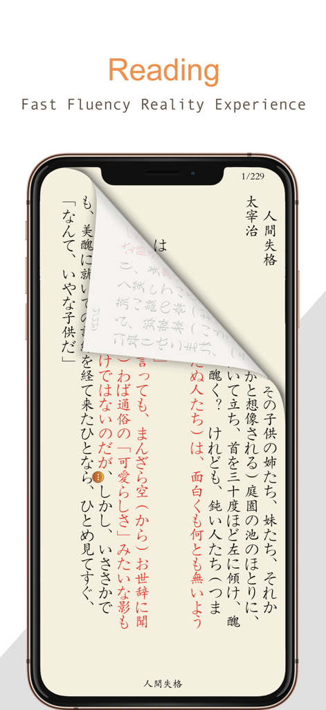TxtReader Pro - TxtReader Pro reading interface showing vertical text and a realistic page turn effect