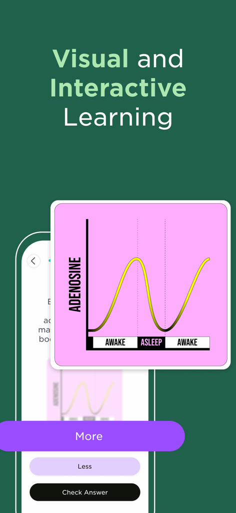Imprint: Visual Micro Learning - A visual and interactive graph showing adenosine levels during wake and sleep cycles in the Imprint app