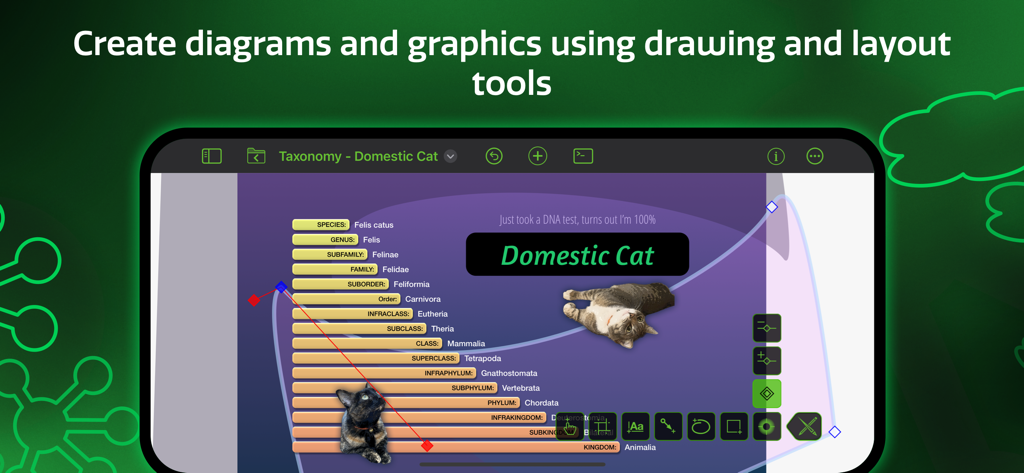 OmniGraffle 3 interface showing a taxonomy diagram of a domestic cat being created with professional drawing and layout tools