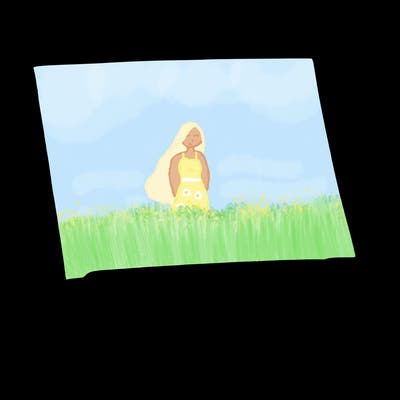 blank canvas