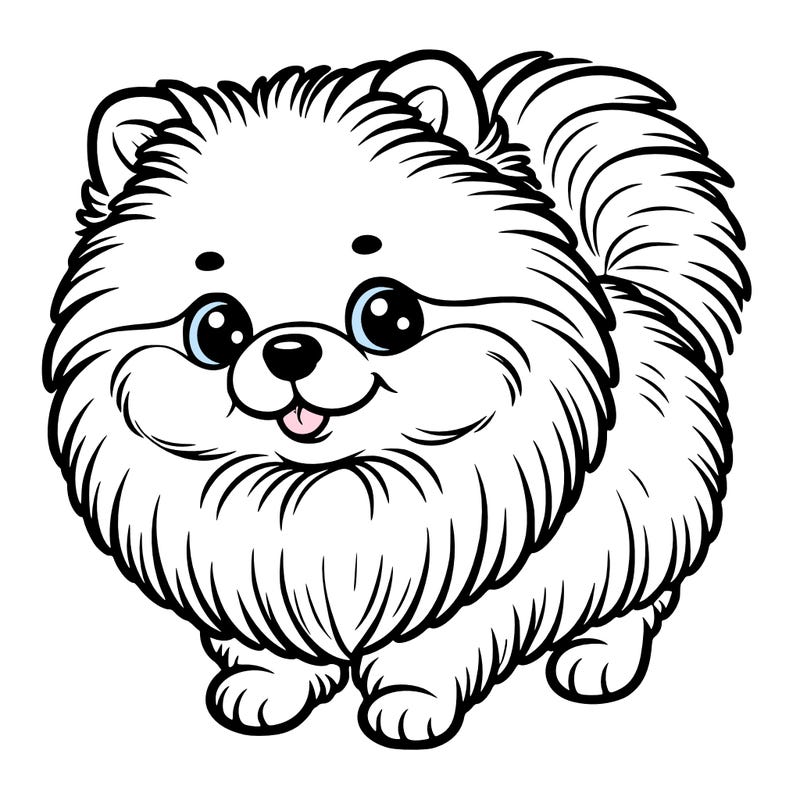pomeranian dog