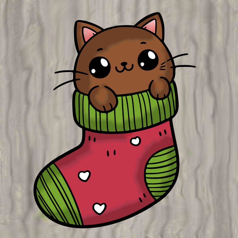 cute cat in a sock
