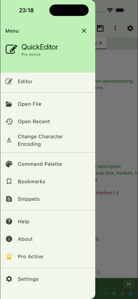 Side navigation menu of QuickEditor app on a mobile device showing editor and project options