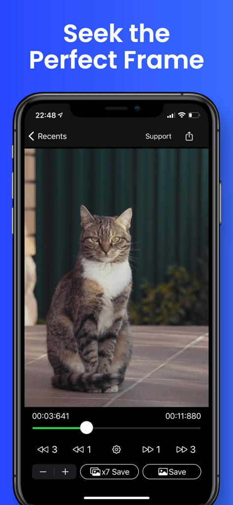 Video to Photo - Grab HD Pic - Mobile app interface for extracting a high quality photo of a cat from a video