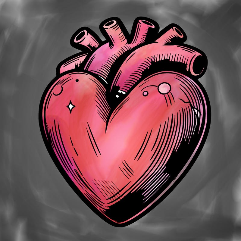 realistic heart