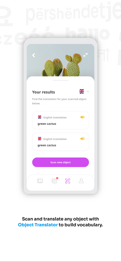 FlashAcademy app interface showing the object translator identifying a green cactus in English