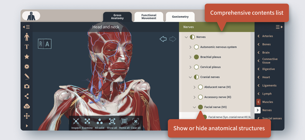 Primal's 3D Functional Anatomy - Interface of Primal's 3D Functional Anatomy app showing a 3D head and neck model with nervous system selection and a comprehensive contents list