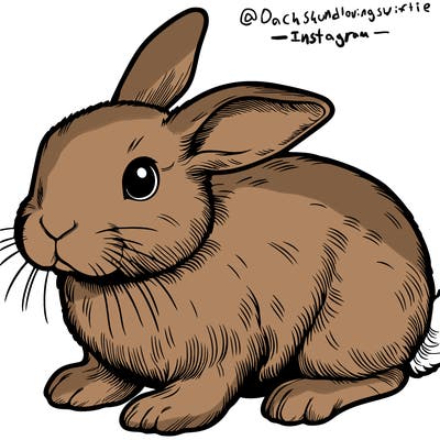 realistic bunny