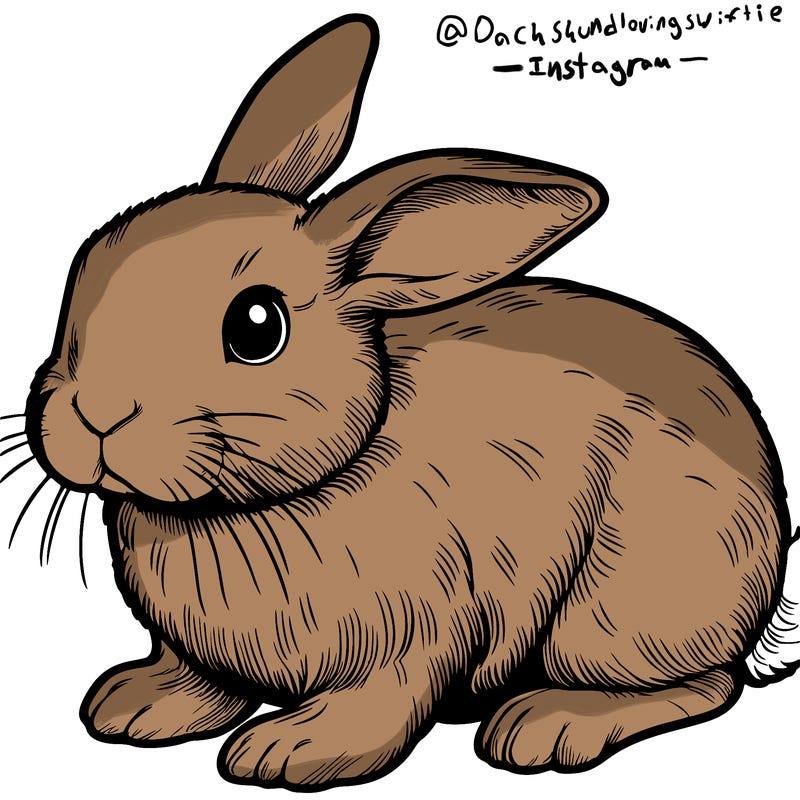 realistic bunny