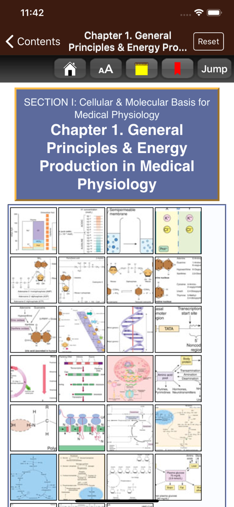 Ganong's Review Physiology 26E - A collection of physiological diagrams and medical illustrations in the Ganong Physiology app