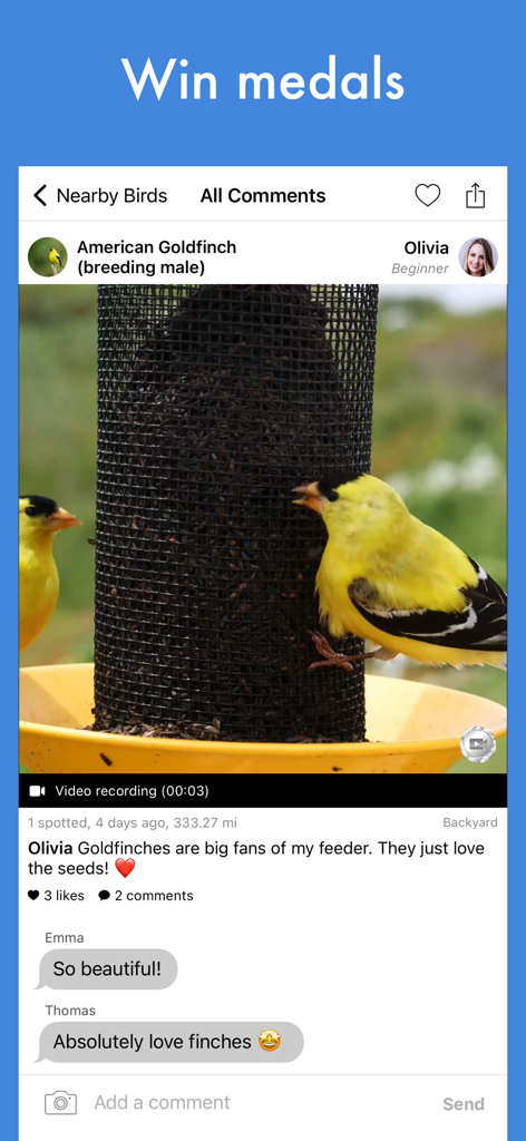Smart Bird ID: Bird Identifier - Smart Bird ID app showing a community post of an American Goldfinch at a bird feeder with user comments.