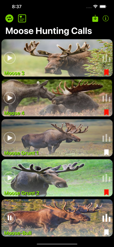Moose Hunting Calls App - Interface do aplicativo Moose Hunting Calls mostrando uma lista de diferentes sons de alce e botões de reprodução.