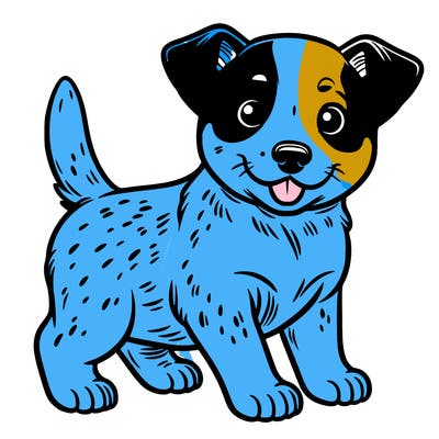 blue heeler puppy