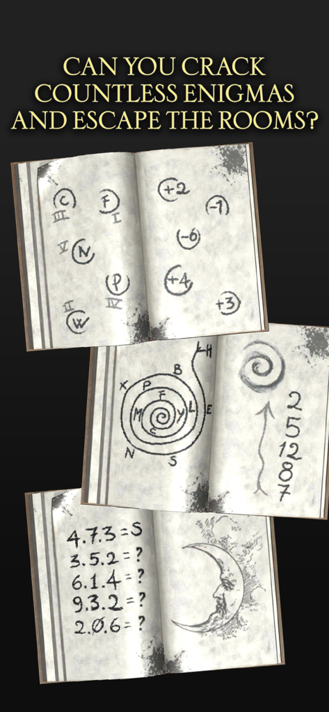 The Da Vinci Cryptex 4 - A collection of hand-drawn logical enigmas and mathematical puzzles in open notebooks from The Da Vinci Cryptex 4.