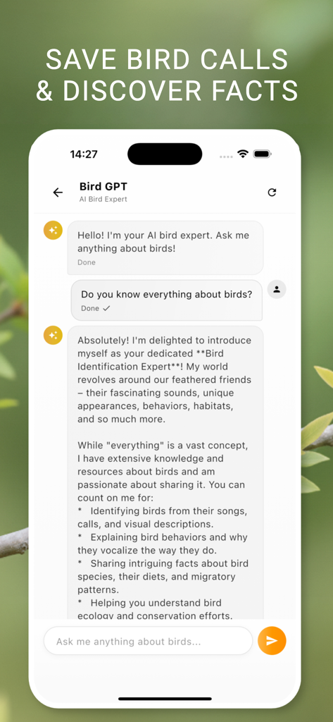 Interfaz de chat de IA experto en aves para identificar especies y aprender datos
