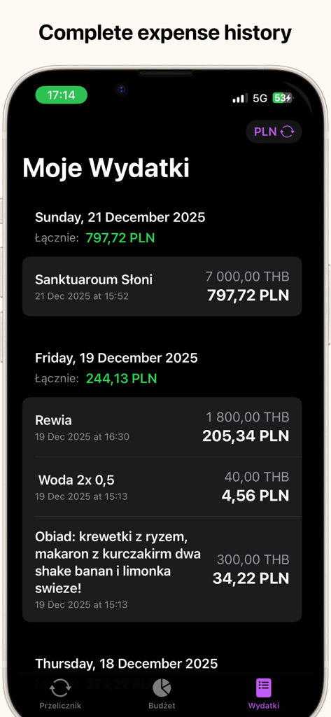 Currency Converter - Widget - A smartphone screen displaying a detailed list of travel expenses and currency conversions
