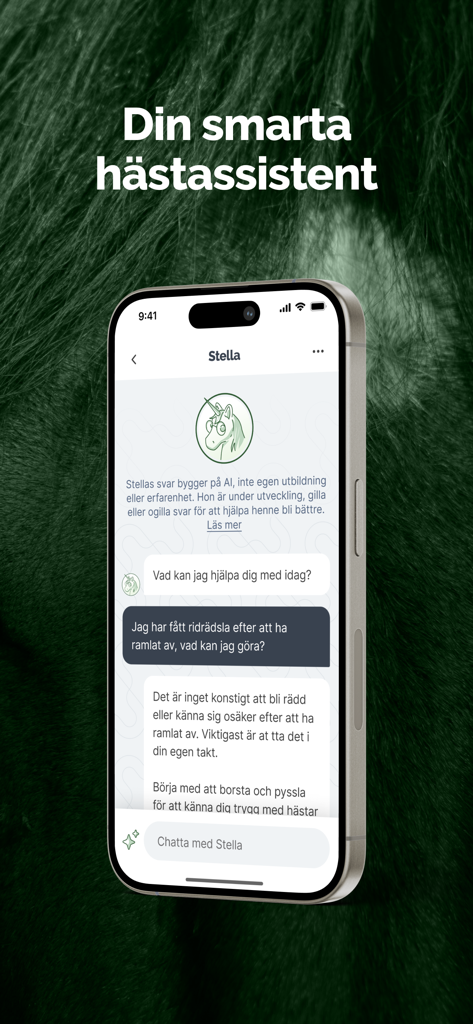 HayHay: För häst & ridning - HayHay app interface showing a chat with Stella the smart horse assistant AI