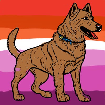 dog