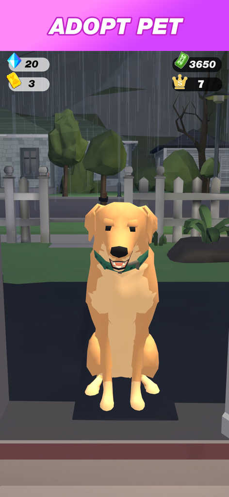 Become Office Queen - 비 오는 날 집 앞에 앉아 있는 골든 리트리버 강아지와 입양하세요라는 제목