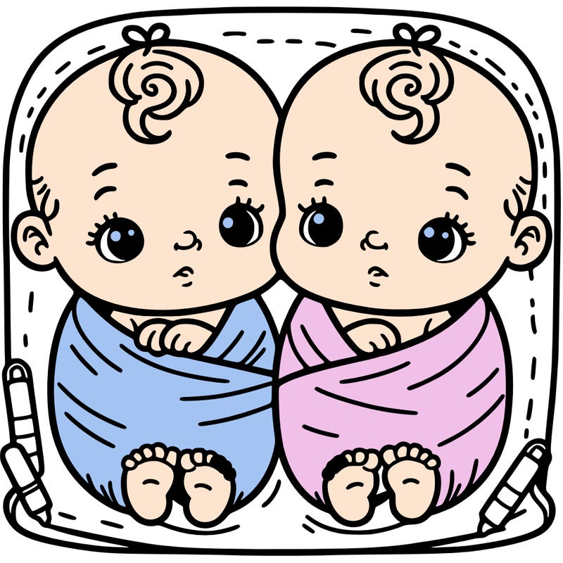twin babies