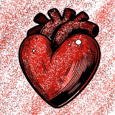 realistic heart