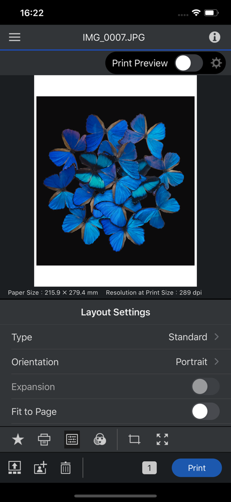 Epson Print Layout - Epson Print Layout mobile interface showing a photo of blue butterflies with layout and print settings.