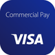 Visa Commercial Pay