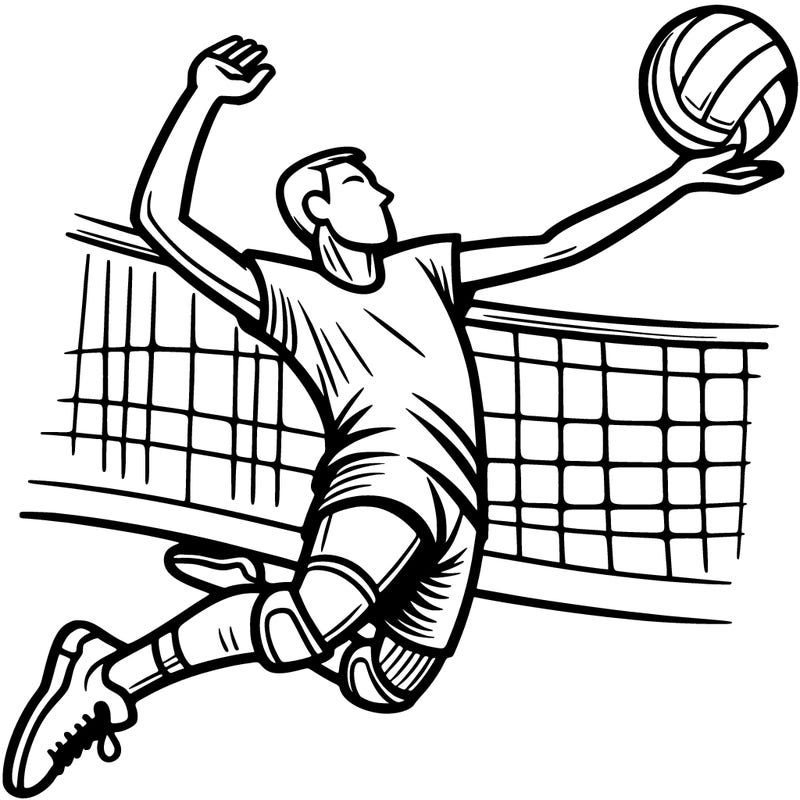 volleyball