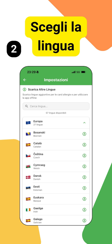 AllergiApp - Tela do AllergiApp para selecionar e baixar idiomas de tradução para uso offline.
