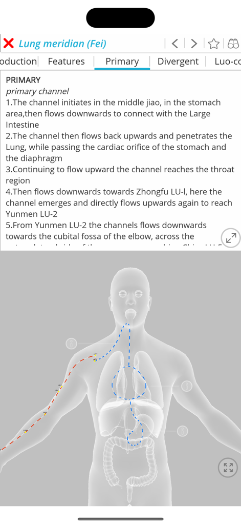 Visual Acupuncture 3D - A 3D anatomical model showing the lung meridian primary channel with a detailed textual description of its flow