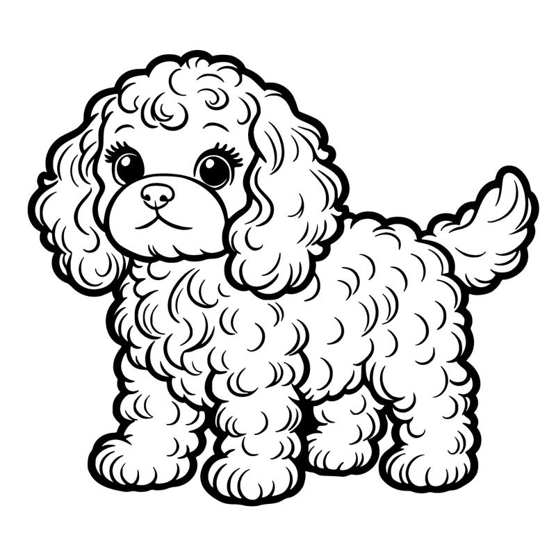 cavapoo